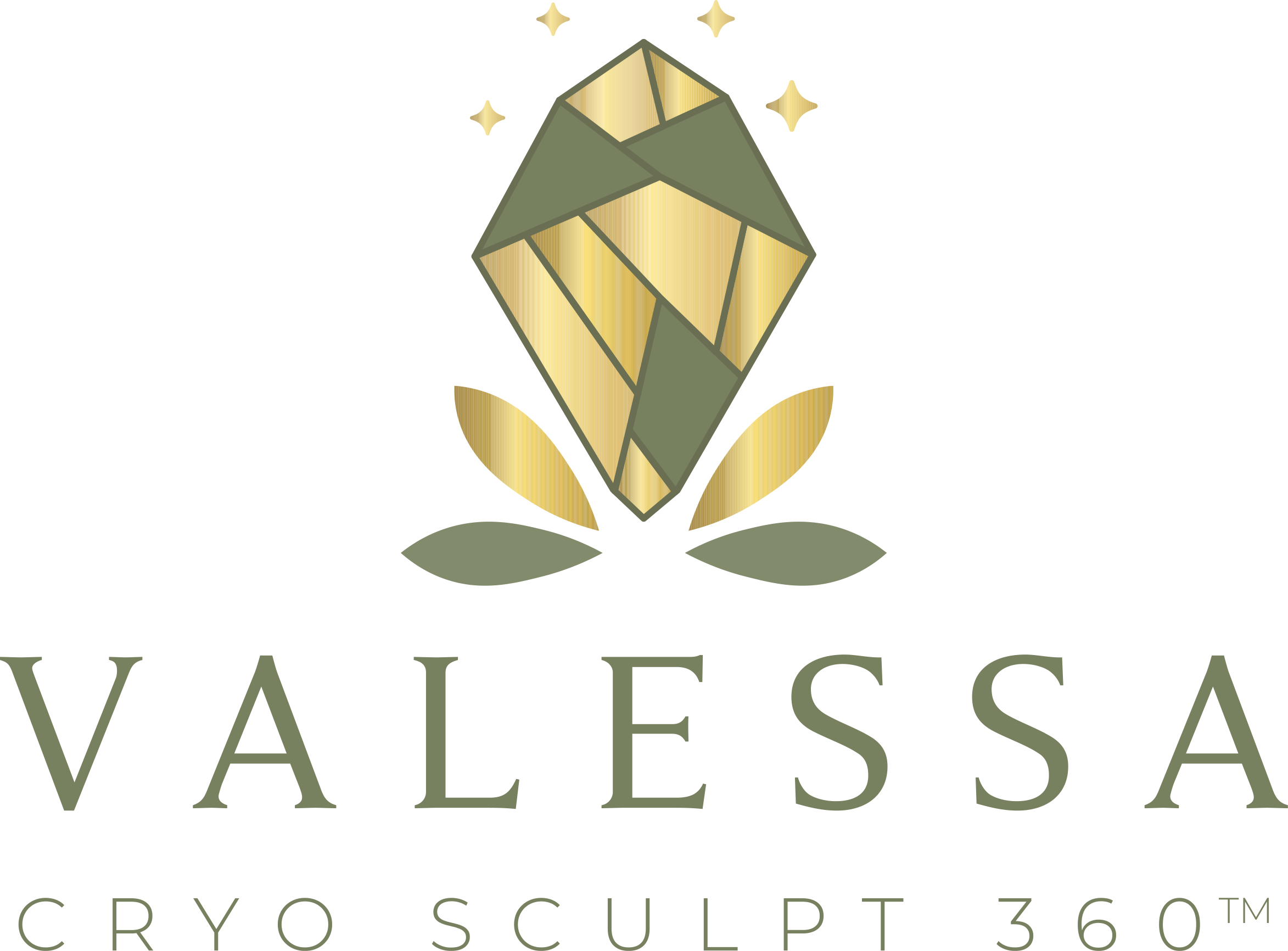 VALESSA Cryo Sculpt 360 logo